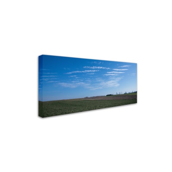 Kurt Shaffer 'Fields At Rest For Winter' Canvas Art,12x24